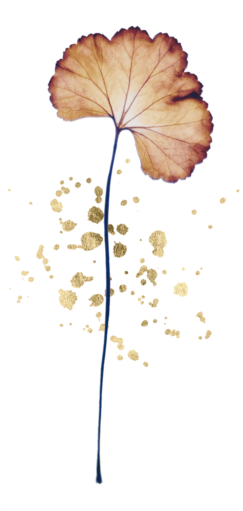 kaartendeck_inzichtkaarten_affirmatiekaarten_Kaartje_trekken_orakelkaarten_deck_kaarten_claudette_jacobs_manifestatie_kaarten_soulmission